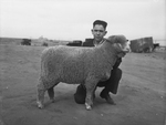 Frank Tieme, 14, Howard County 4-H Club boy with his prize winning lamb by Frank Reeves Sr.