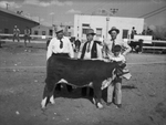 Lagrone, E. R. Clifton, Lee R. Pool (county agent), and Darwin Purvis, 4-H Club boy who exhibited the calf by Frank Reeves Sr.