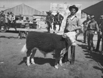 Charlie Mitchell holding first prize winner in Junior Hereford class by Frank Reeves Sr.