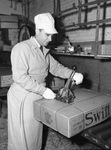 J. M. Davis working at Swift & Company