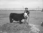 Billy Joe Payne, Nolan county 4-H Club boy with his prize winner in lightweight milk-fed class by Frank Reeves Sr.