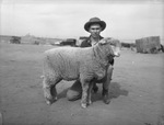 Billy Nelson McClelland of Sterling City is the exhibitor of the champion lamb. Jim Bob Clark is holding the prize winner by Frank Reeves Sr.