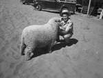 Tommy Johnson and his champion lamb by Frank Reeves Sr.
