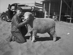 Pat Pauley and his fat lamb by Frank Reeves Sr.