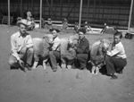 R. L. Merz Junior with Bobby Abbott, Frank Davis and James Abbott and their lambs by Frank Reeves Sr.