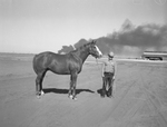 "Trimit," thoroughbred horse owned by Roy Parks Junior of Midland, Texas by Frank Reeves Sr.