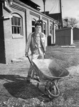 Golden Golves. Gene Roberts, Masonic Home, pushing in a wheelbarrow to keep in shape for Golden Gloves.