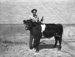Houston Livestock Exposition by Frank Reeves Sr.