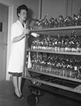 Mrs. Ruth Tidwell pushing a cart of bottles to be filled with plasma