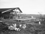 Chicken house on the property of O. R. Doan