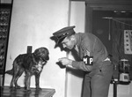 "Spunky," mixed breed dog being scolded by Sergeant John Cleary