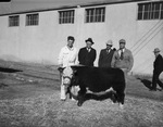 Johnny Leathers, his reserve champion calf, H. H. Williamson, Parker D. Hanna and County Agent H. M. Breedlove