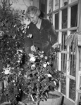 Mrs. Ireland Hampton, shown with her camellias