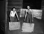 Left to right, Corporal Robert C. McLeister, Morristown, New Jersery and Staff Sergeant Lucian L. Logan Laurel, Mississippi, shoveling grain