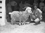 Texas Angora Goat Raisers Association by Frank Reeves Sr.