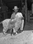 Texas Angora Goat Raisers Association by Frank Reeves Sr.