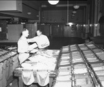 Postal workers sorting mail into delivery bins