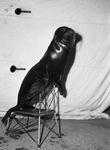 Polack Brothers Circus. "Buddy," the talking seal