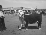 Robert Lynn Parker, Roby, Texas and his first prize heavyweight dry lot steer by Frank Reeves Sr.