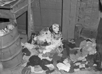 "Queen," two year old Dalmatian, shown with her litter. She is owned by C. W. Morrison