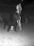 Southwestern Exposition and Fat Stock Show