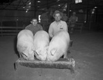Southwestern Exhibition and Fat Stock Show