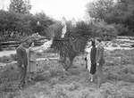 Easter Sunday. Shown admiring yucca are Corporal Edwin Marston, Mrs. Estelle Marlow and Miss Charlotte Smith and Corporal Homer Garrett