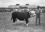 Wise County Stock Show by Frank Reeves Sr.