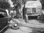Bus Crash