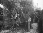 City cleanup campaign. Volunteers loading a truck, left to right, Elvin Nabors, Monnig's truck driver; Charles Williams, Lacy Webb and O. C. Witte
