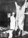 A Veteran meat inspector C.W. Woolsey