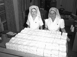 Red Cross workers