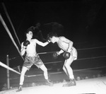 Golden Gloves boxing