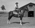 Lew Jenkins astride the pony he owns