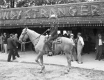 Publishers at Shady Oak Farm