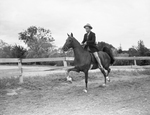 "Burger Boo's Dream," horse owned by James M. North Junior