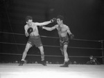 Golden Gloves. Action. Donald Nasche, right, and Sproleder, left.