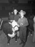 Greater Pan-American Hereford Exposition