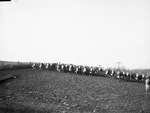 "Corn Belt Trip, 1946: Mitchell Ranch cattle
