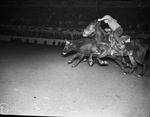 Bill Hancock in bulldogging at the Southwestern Exposition and Fat Stock Show rodeo