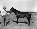R. L. Underwood horse ranch