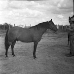 R. L. Underwood horse ranch