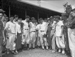 Bob Linton Baseball School
