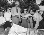 Dallas News and Star-Telegram picnic at Baird's Farm near Arlington