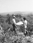 Possum Kingdom Dam site is studied