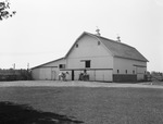 Indiana Stock Farm