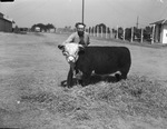 J. N. Edens Jr. and his champion bull