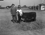 Cecil Parker and Fred M. Allison Sr. with champion calf