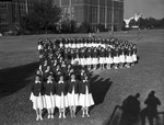 Paschal High School Girls Drill Team
