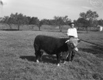 Jinkins and Jinkins Hereford Ranch by Frank Reeves Sr.